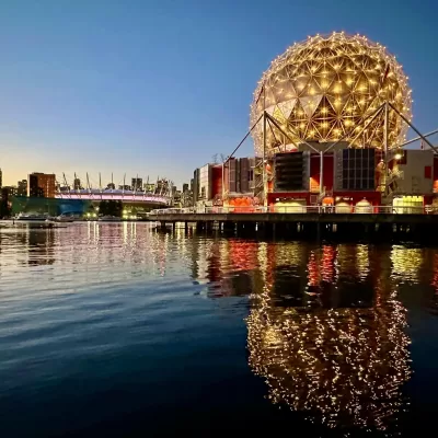 Steve Ferreira - Marketing Strategist