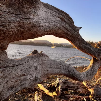 Steve Ferreira - Marketing Specialist