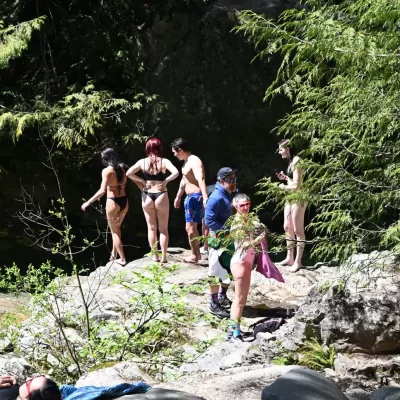 Life with Steve Ferreira