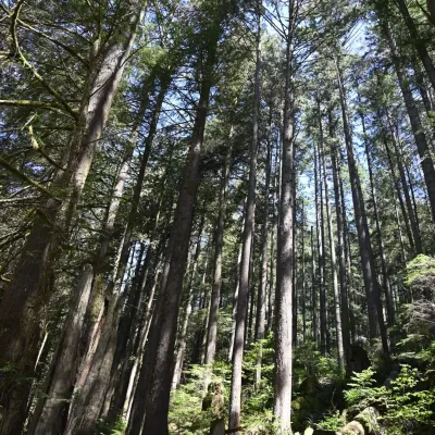 Life with Steve Ferreira