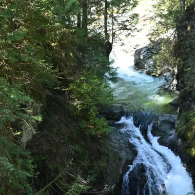 Life with Steve Ferreira