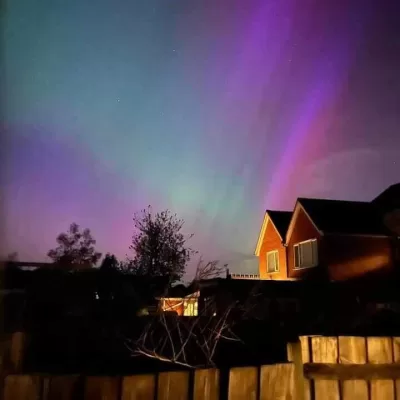 Life with Steve Ferreira