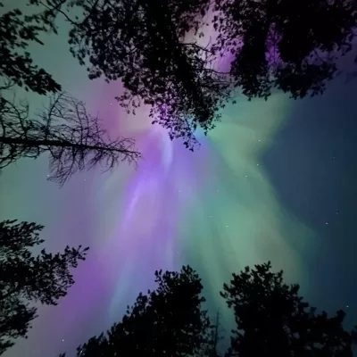 Life with Steve Ferreira