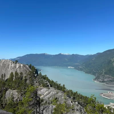 Life with Steve Ferreira