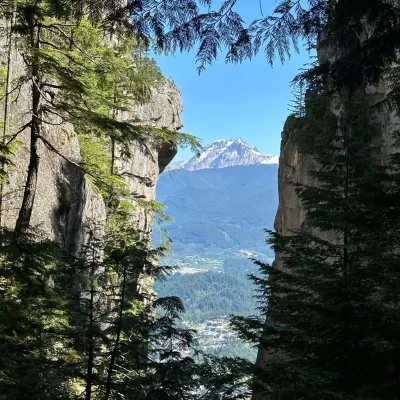 Life with Steve Ferreira