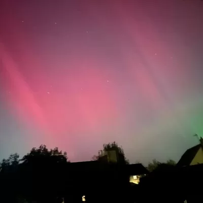 Life with Steve Ferreira