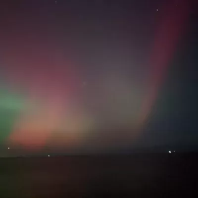 Life with Steve Ferreira