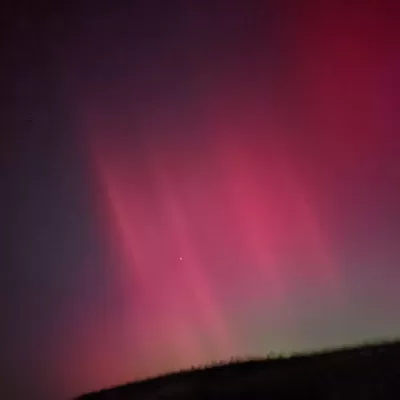 Life with Steve Ferreira