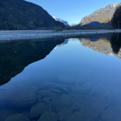 Life with Steve Ferreira