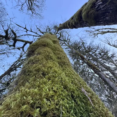 Life with Steve Ferreira