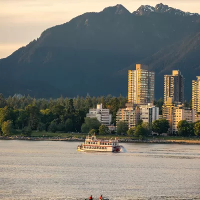 Steve Ferreira - Digital Marketing Specialist