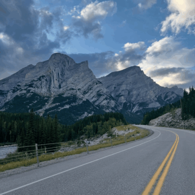 Steve Ferreira - Digital Marketing Specialist