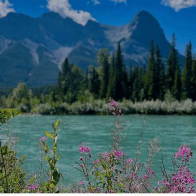 Steve Ferreira - Digital Marketing Specialist