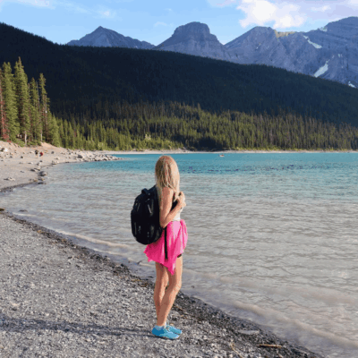 Steve Ferreira - Digital Marketing Specialist