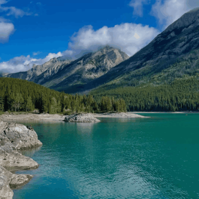 Steve Ferreira - Digital Marketing Specialist