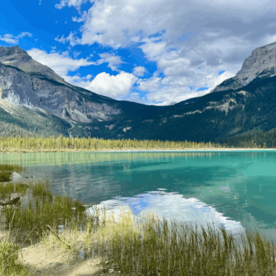 Steve Ferreira - Digital Marketing Specialist