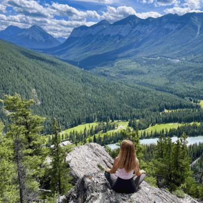 Steve Ferreira - Digital Marketing Specialist