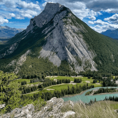 Steve Ferreira - Digital Marketing Specialist