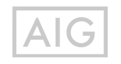 AIG Insurance | Steve Ferreira - Performance Marketing